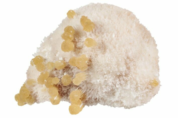 Yellow Calcite On Scolecite (Zeolite) Sprays - Maharashtra, India #195771